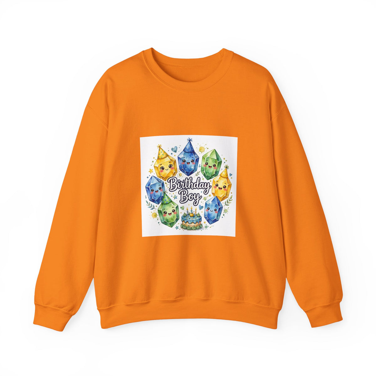 Birthday Boy Crystal Party Crewneck | Earth Tones & Brights