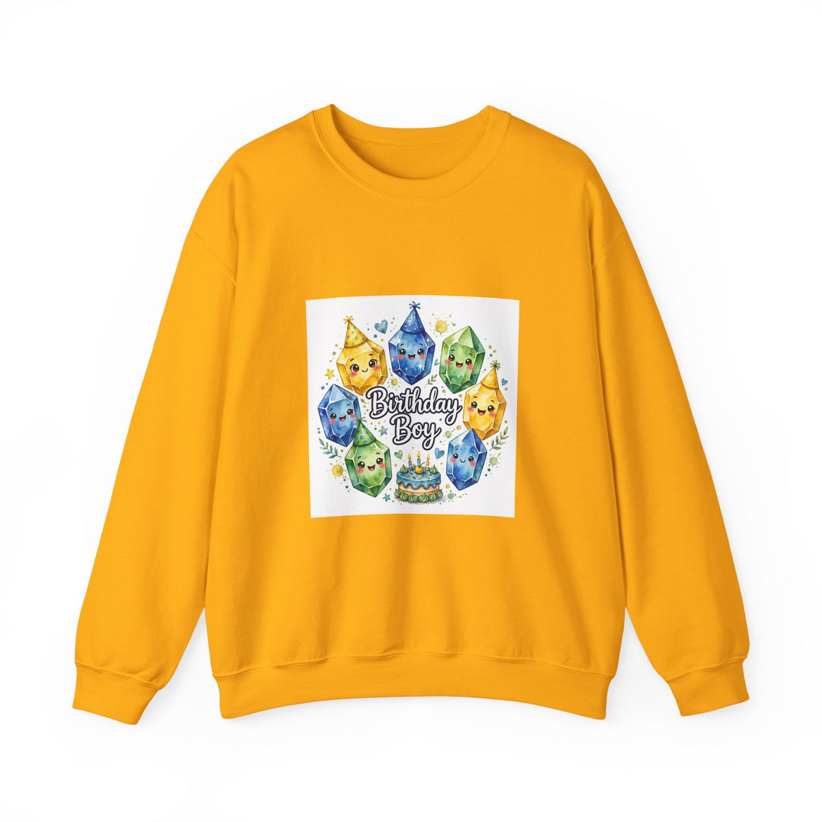 Birthday Boy Crystal Party Crewneck | Earth Tones & Brights