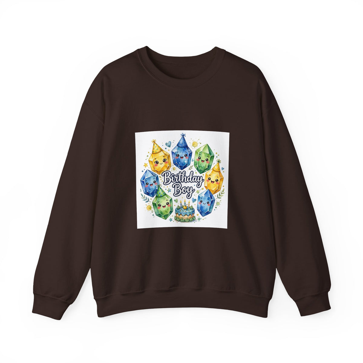 Birthday Boy Crystal Party Crewneck | Earth Tones & Brights