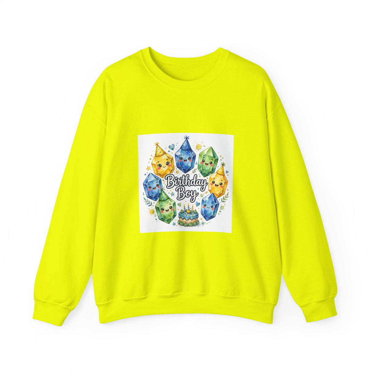 Birthday Boy Crystal Party Crewneck | Earth Tones & Brights