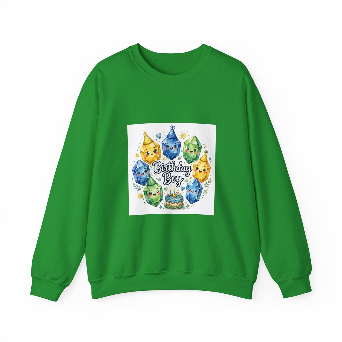 Birthday Boy Crystal Party Crewneck | Earth Tones & Brights