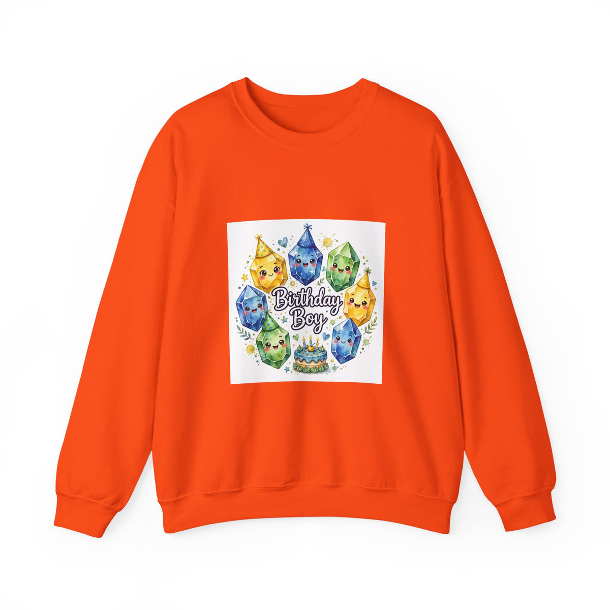 Birthday Boy Crystal Party Crewneck | Earth Tones & Brights